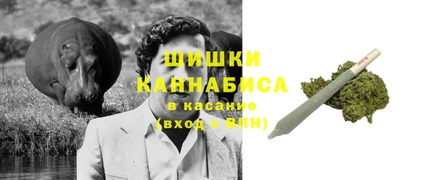 2c-b Горнозаводск