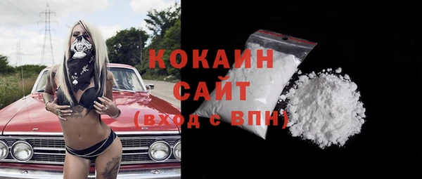 2c-b Горно-Алтайск