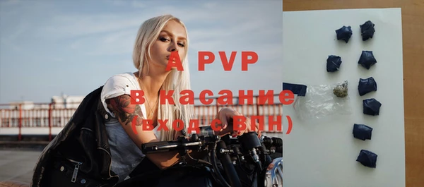 2c-b Горно-Алтайск
