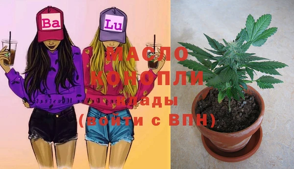 2c-b Горнозаводск