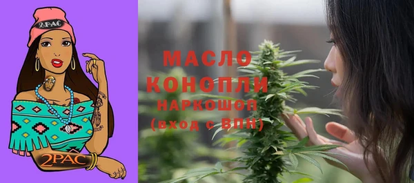 2c-b Горно-Алтайск